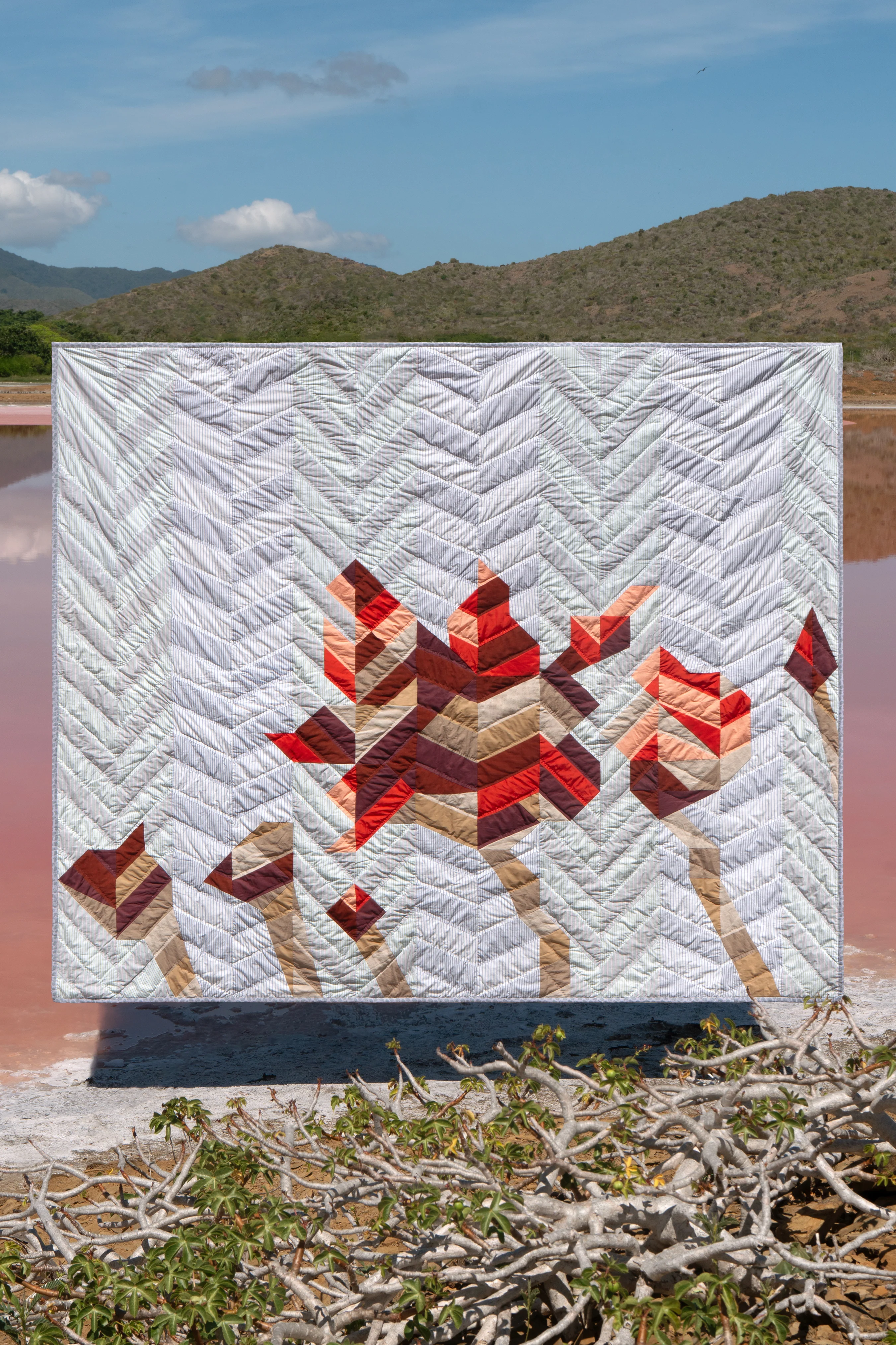 Bicarradier Quilt - Image 4